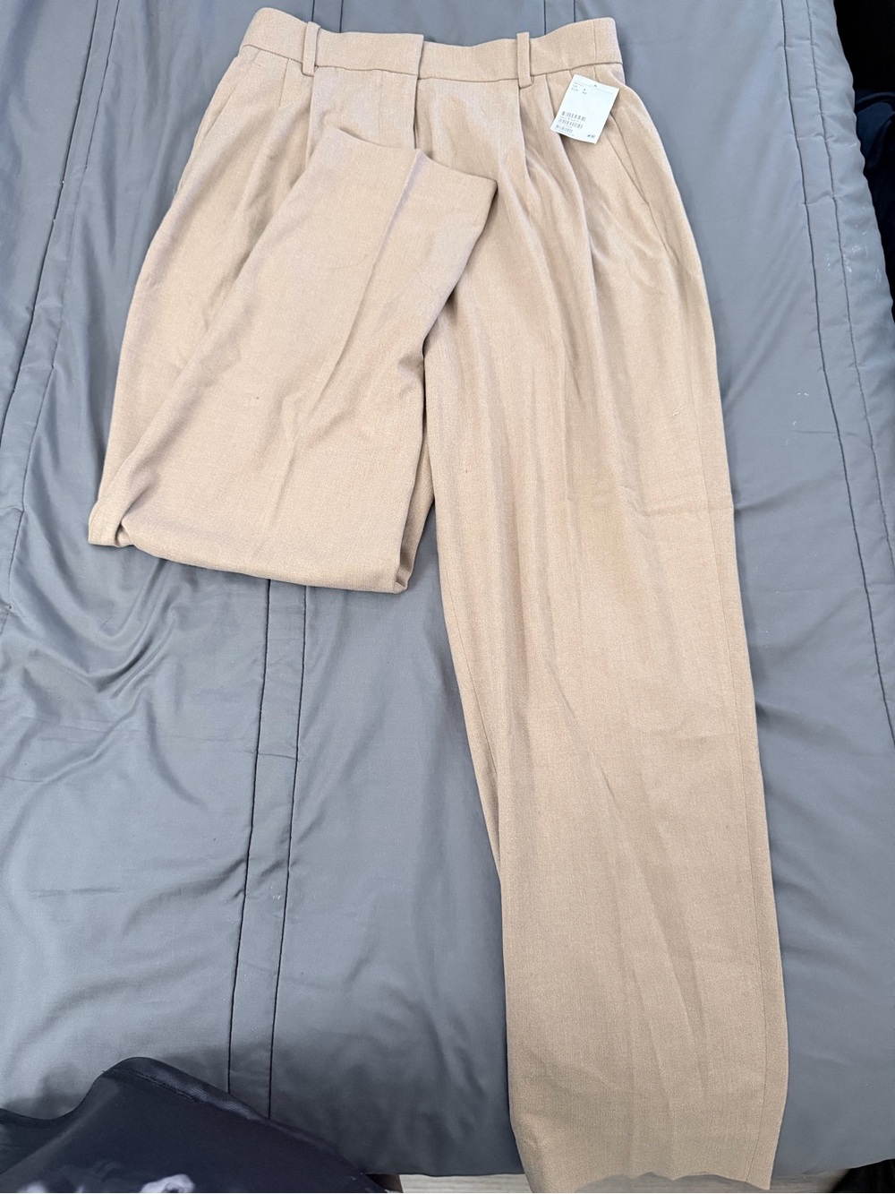 Men's Pleated Dress Pants - Beige